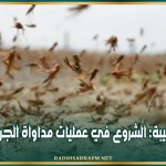 الذهيبة: الشروع في عمليات مداواة الجراد