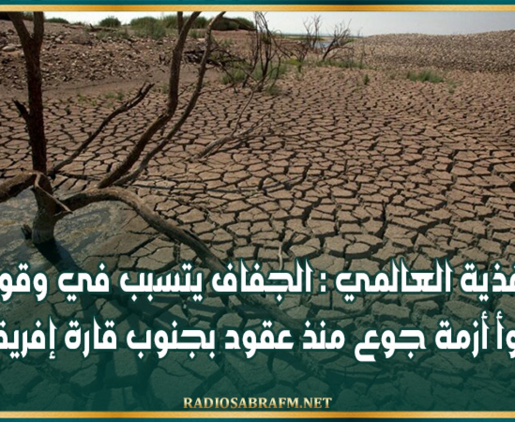 الأغذية العالمي : الجفاف يتسبب في وقوع أسوأ أزمة جوع منذ عقود بجنوب قارة إفريقيا
