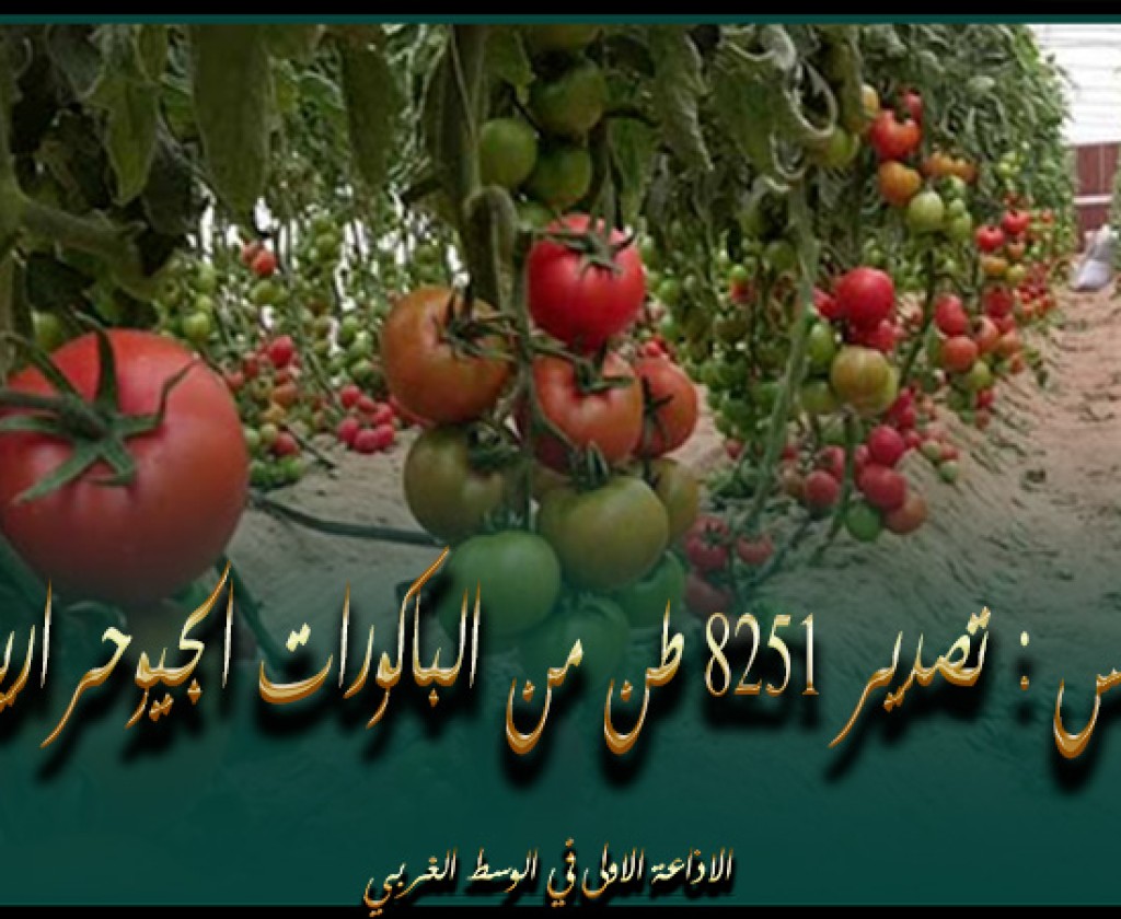 قابس : تصدير 8251 طن من الباكورات الجيوحرارية