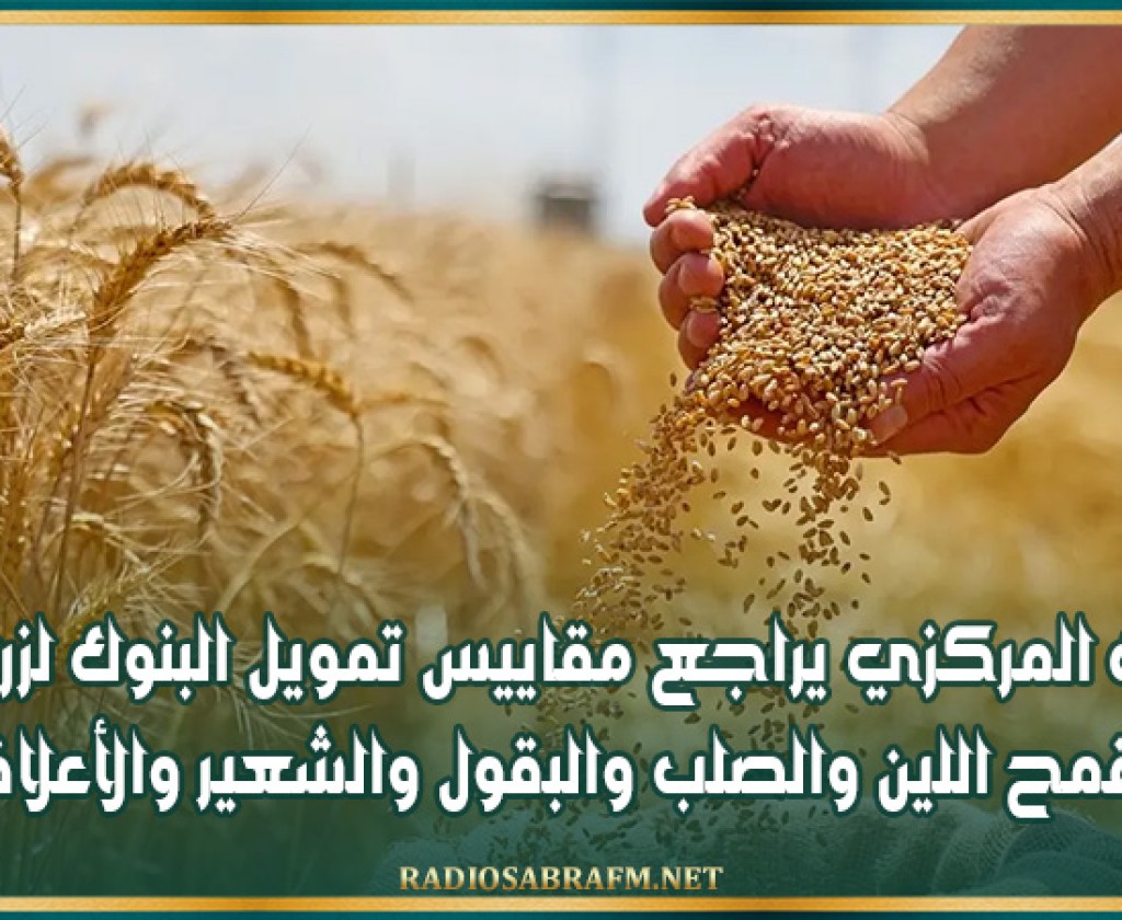 البنك المركزي يراجع مقاييس تمويل البنوك لزراعة القمح اللين والصلب والبقول والشعير والأعلاف