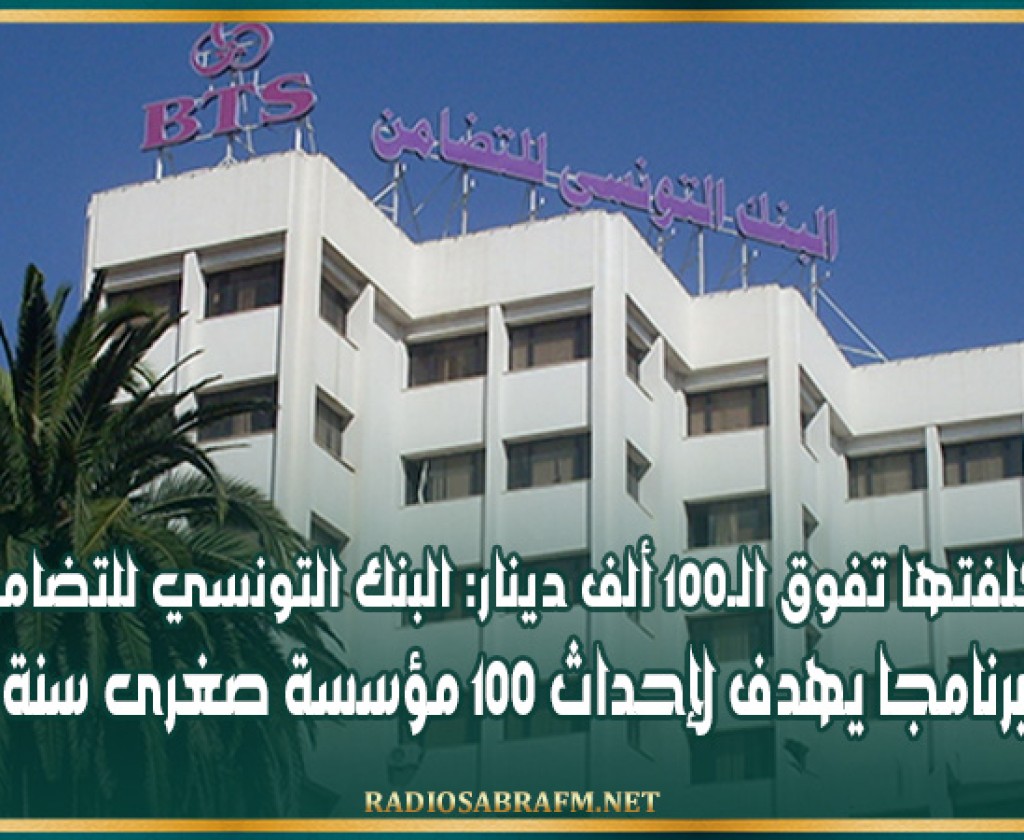 تكلفتها تفوق الـ100 ألف دينار: البنك التونسي للتضامن يضع برنامجا يهدف لإحداث 100 مؤسسة صغرى سنة 2025