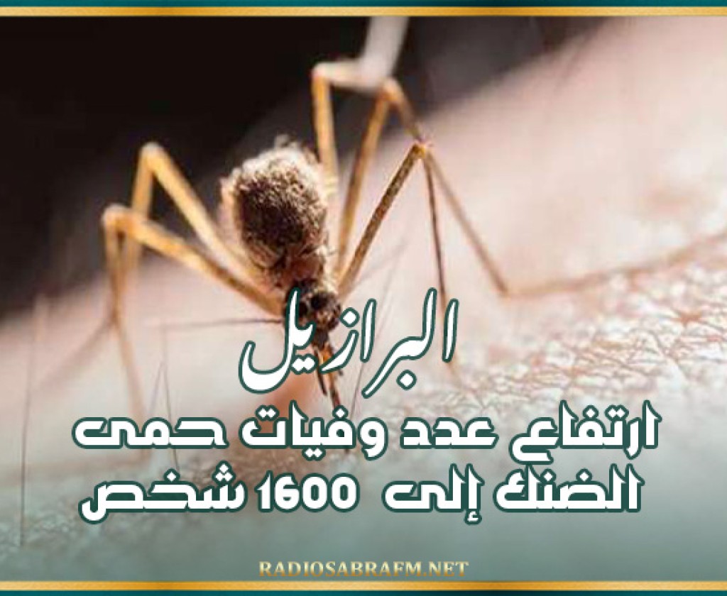 البرازيل: ارتفاع عدد وفيات حمى الضنك إلى 1600 شخص