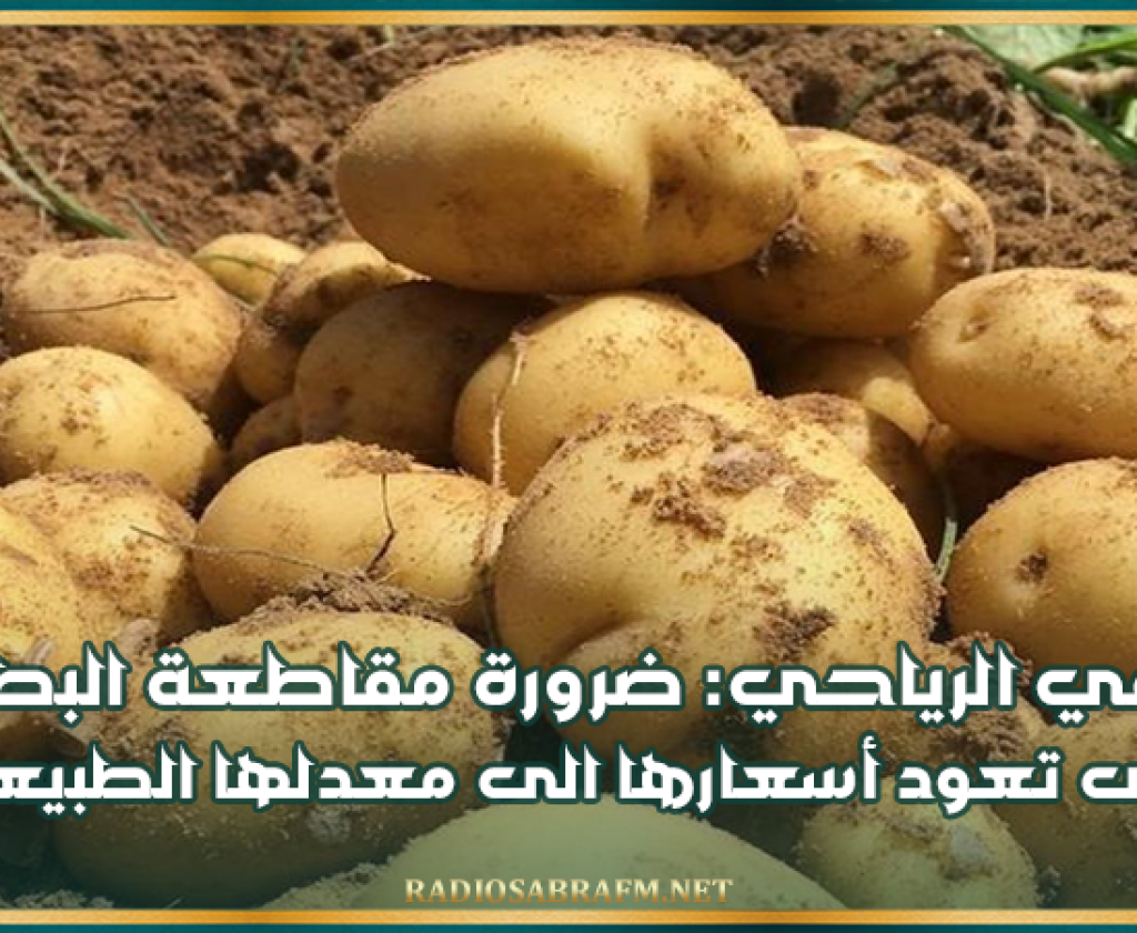 لطفي الرياحي: ضرورة مقاطعة البطاطا حتى تعود أسعارها الى معدلها الطبيعي