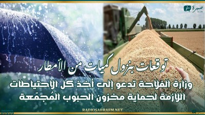توقعات بنزول كميات من الأمطار.. وزارة الفلاحة تدعو إلى أخذ كل الاحتياطات اللازمة لحماية مخزون الحبوب المُجمّعة