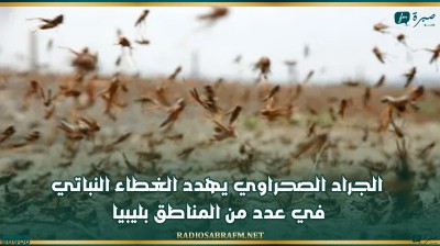 الجراد الصحراوي يهدد الغطاء النباتي في عدد من المناطق بليبيا