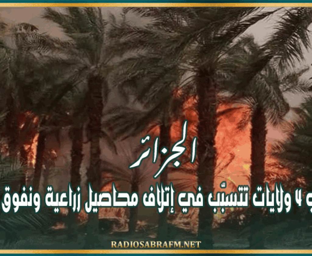 الجزائر: حرائق في 4 ولايات تتسبّب في إتلاف محاصيل زراعية ونفوق حيوانات