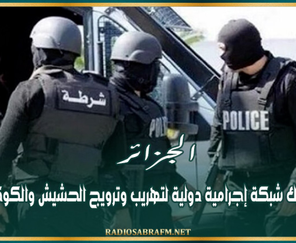 الجزائر.. تفكيك شبكة إجرامية دولية لتهريب وترويج الحشيش والكوكايين