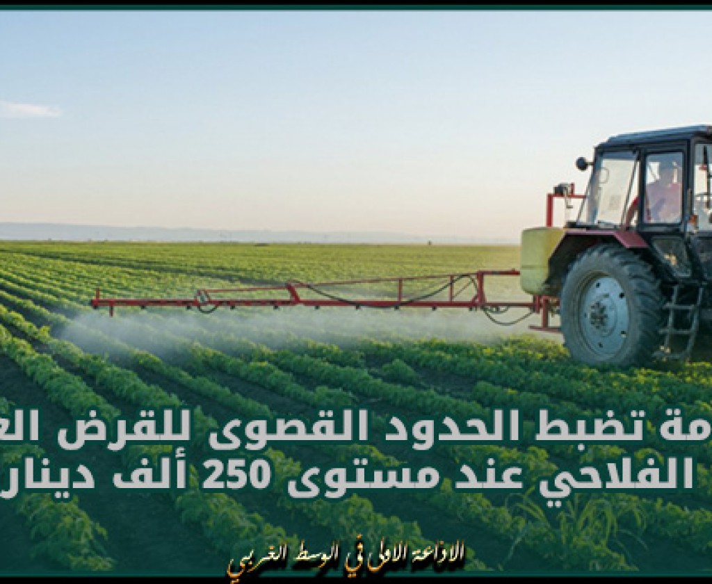 الحكومة تضبط الحدود القصوى للقرض العقاري الفلاحي عند مستوى 250 ألف دينار