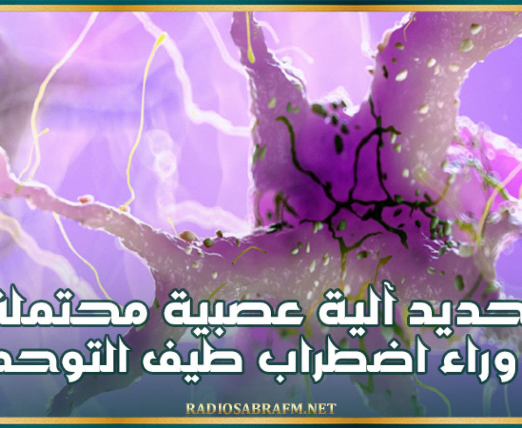 تحديد آلية عصبية محتملة وراء اضطراب طيف التوحد
