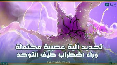 تحديد آلية عصبية محتملة وراء اضطراب طيف التوحد