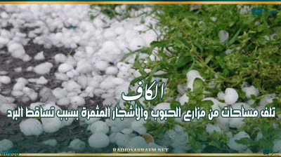 الكاف: تلف مساحات من مزارع الحبوب والأشجار المثمرة بسبب تساقط البرد