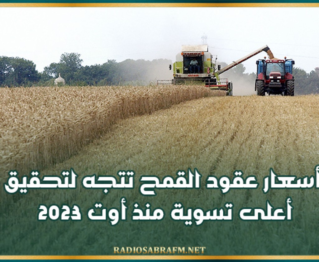 أسعار عقود القمح تتجه لتحقيق أعلى تسوية منذ أوت 2023