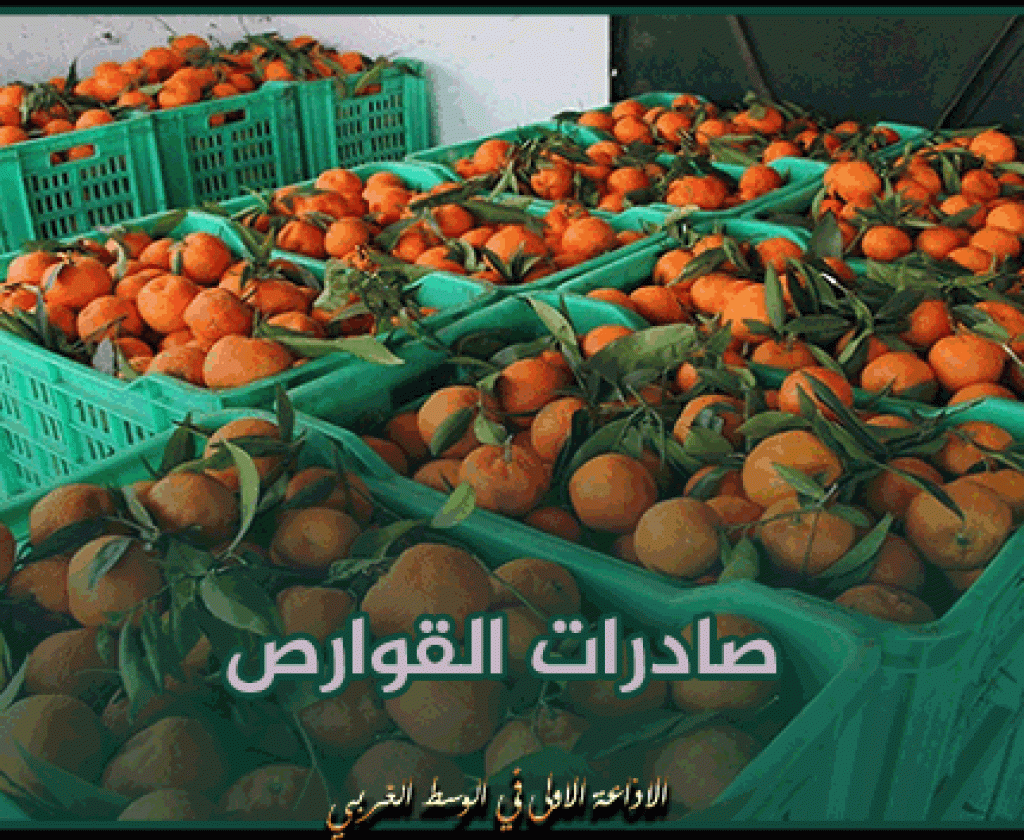 صادرات القوارص تناهز قيمتها 22 مليون دينار إلى غاية يوم 11 مارس الجاري