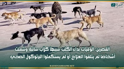 القصرين: الوفيات بداء الكلب سببها كلاب سائبة وشملت أشخاصا لم يتلقوا العلاج أو لم يستكملوا البرتوكول الصحي