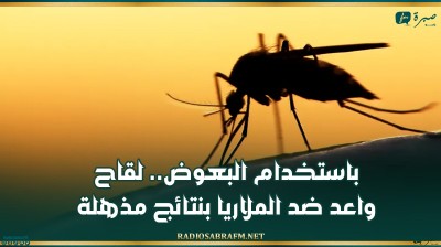 باستخدام البعوض.. لقاح واعد ضد الملاريا بنتائج مذهلة