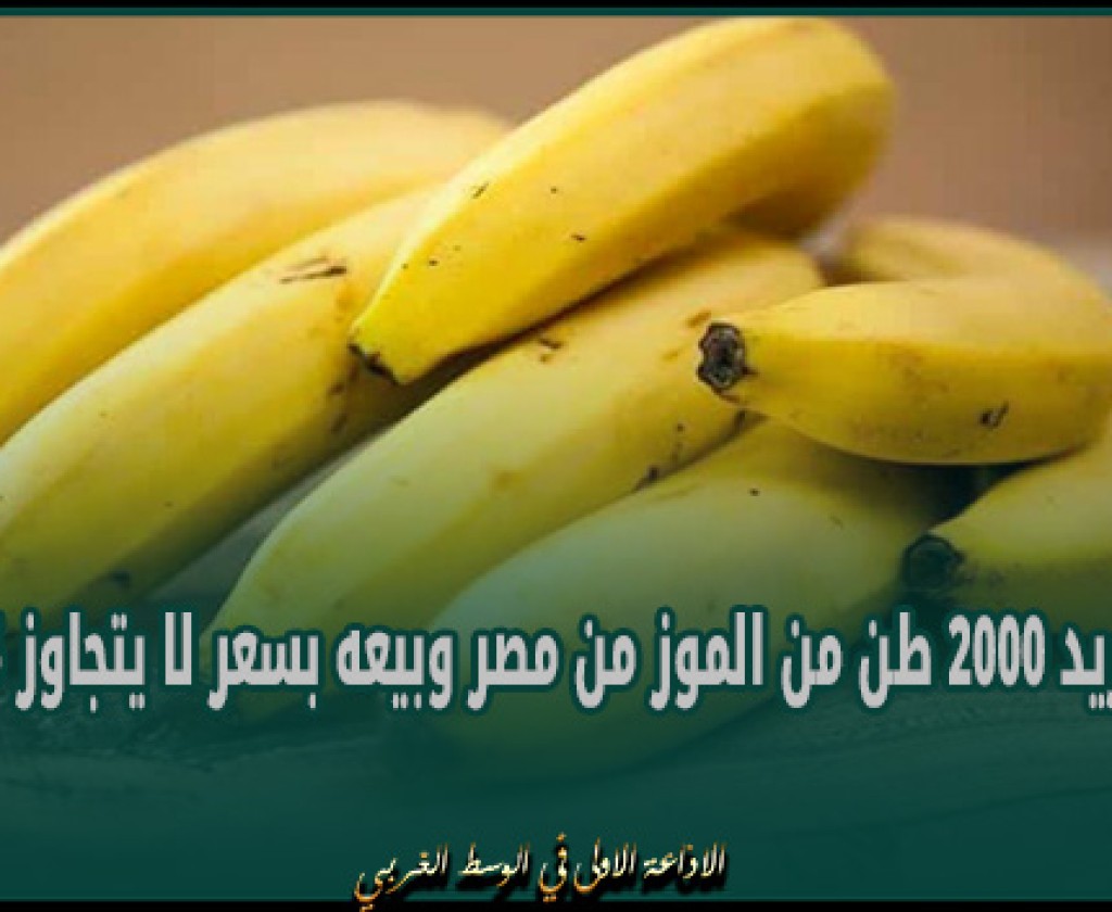 وزارة التجارة: "نحو توريد 2000 طن من الموز من مصر وبيعه بسعر لا يتجاوز 5 دنانير"