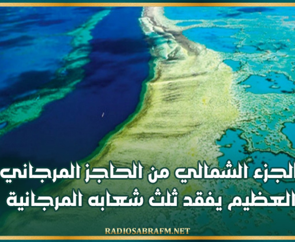 الجزء الشمالي من الحاجز المرجاني العظيم يفقد ثلث شعابه المرجانية