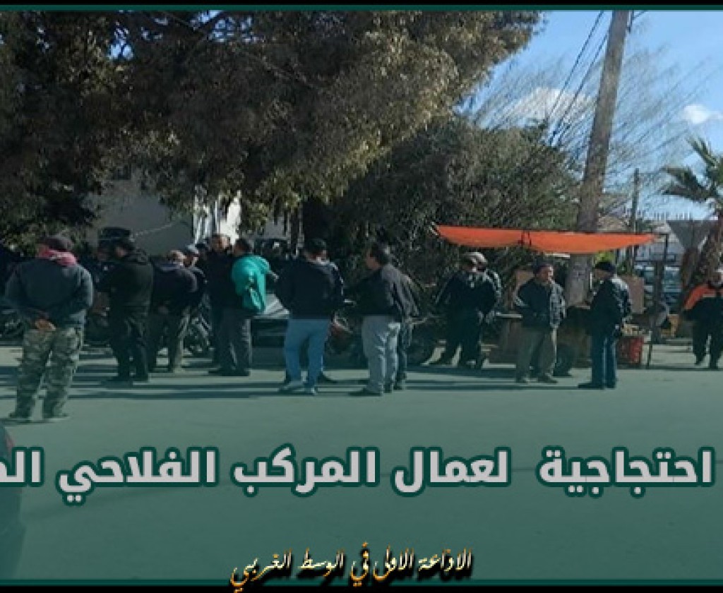 النفيضة: وقفة احتجاجية لعمال المركب الفلاحي الصناعي بالجهة