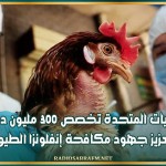 الولايات المتحدة تخصص 300 مليون دولار لتعزيز جهود مكافحة إنفلونزا الطيور