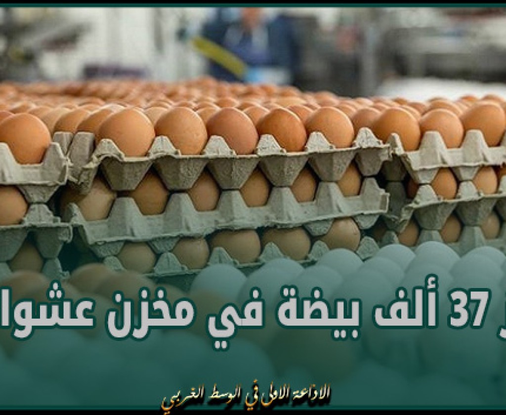 الوردية: حجز 37 ألف بيضة في مخزن عشوائي