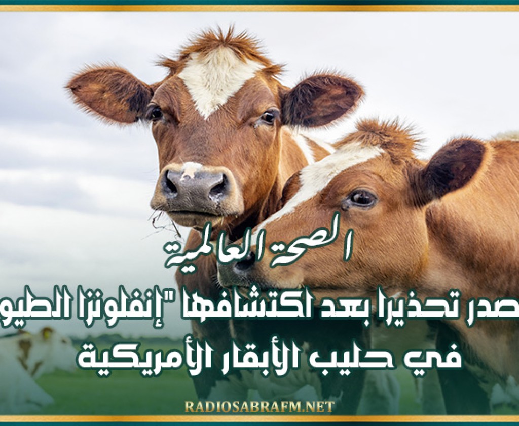 الصحة العالمية تصدر تحذيرا بعد اكتشافها "إنفلونزا الطيور" في حليب الأبقار الأمريكية