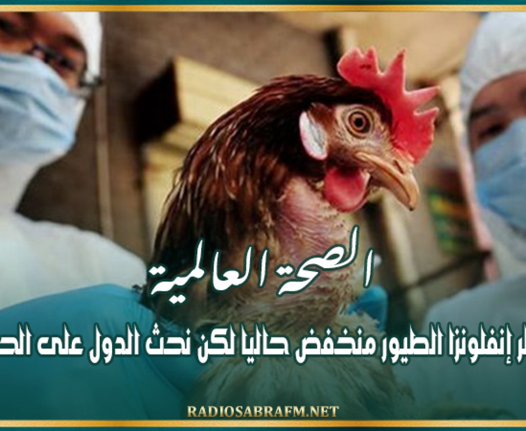 الصحة العالمية: خطر إنفلونزا الطيور منخفض حاليا لكن نحث الدول على الحذر