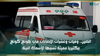 الصين.. وفيات وعشرات الإصابات في هونغ كونغ ببكتيريا مميتة تسببها الأسماك النيئة