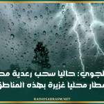 الرصد الجوي: حاليا سحب رعدية مصحوبة بأمطار محليا غزيرة بهذه المناطق