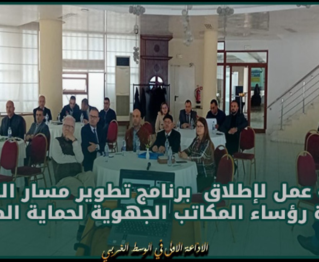 وزارة الأسرة: ورشة عمل لإطلاق برنامج تطوير مسار التعهّد لفائدة رؤساء المكاتب الجهوية لحماية الطفولة