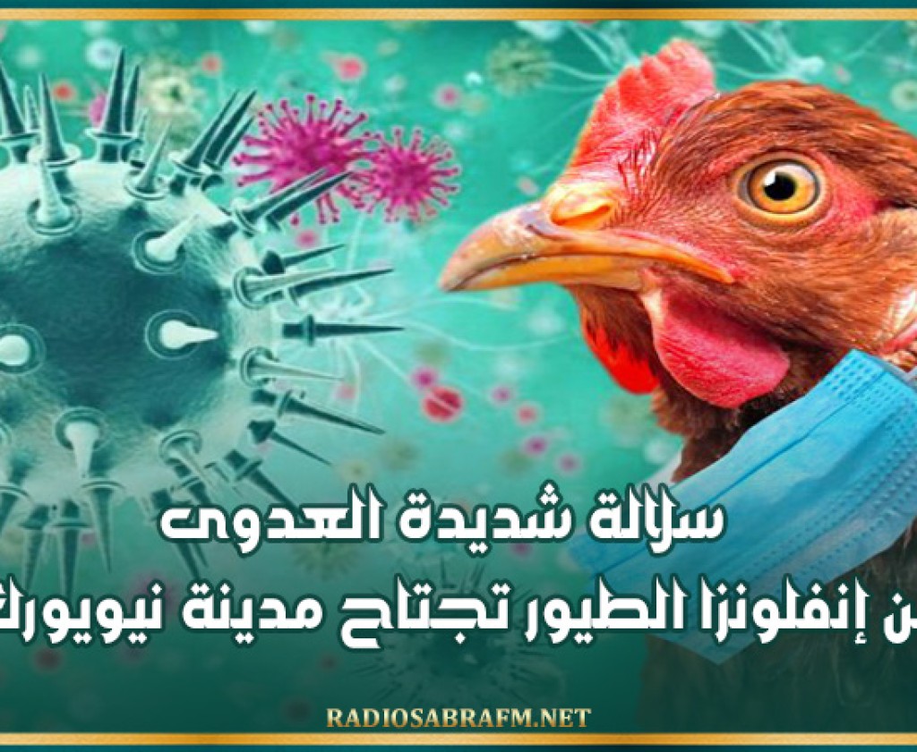 سلالة شديدة العدوى من إنفلونزا الطيور تجتاح مدينة نيويورك