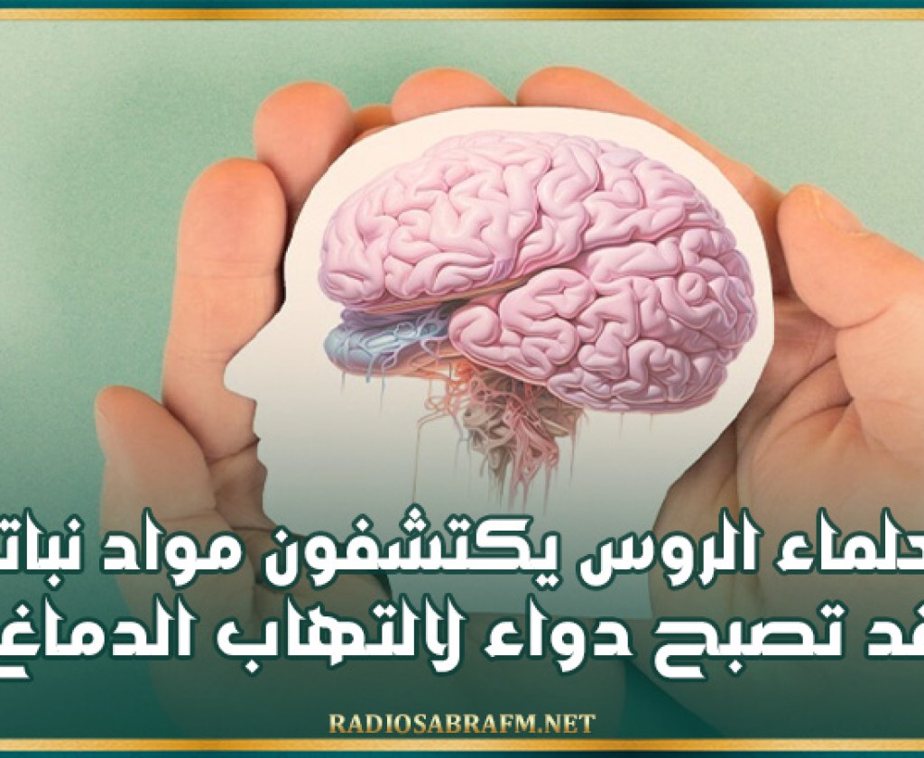 العلماء الروس يكتشفون مواد نباتية قد تصبح دواء لالتهاب الدماغ