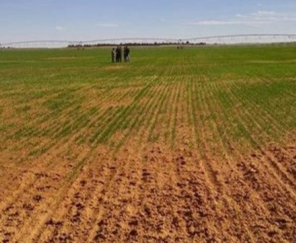 جلسة عمل حول إسناد الأراضي الدولية غير الفلاحية في صيغ كراء طويل الامد أو بالدينار الرمزي لفائدة المشاريع ذات الأهمية الوطنية