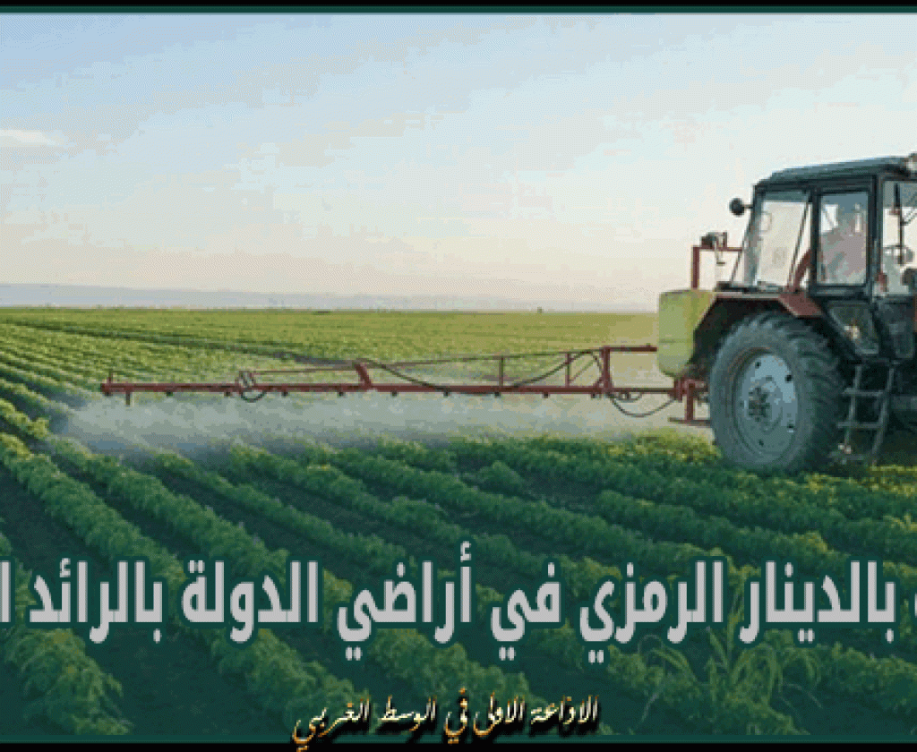 صدور الأمر المتعلق بإجراءات التفويت بالدينار الرمزي في أراضي الدولة بالرائد الرسمي