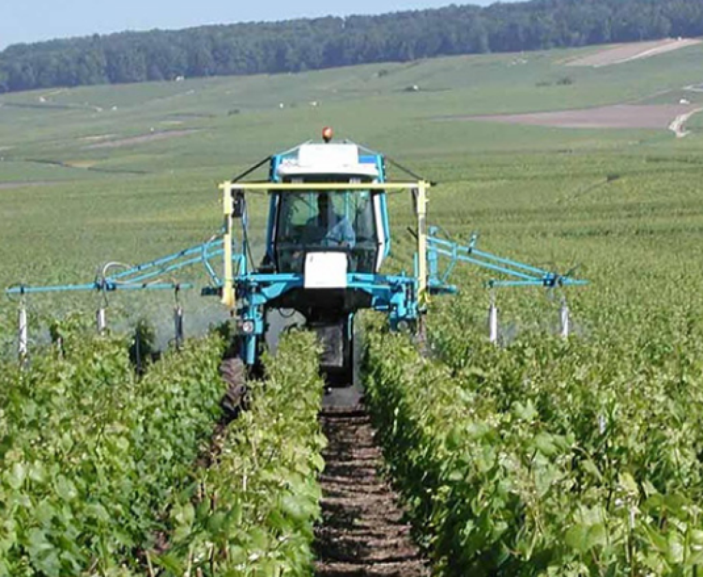 قفصة: وكالة النهوض بالإستثمارات الفلاحية تصادق على بعث 175 مشروعا فلاحيا بالجهة خلال سنة 2023