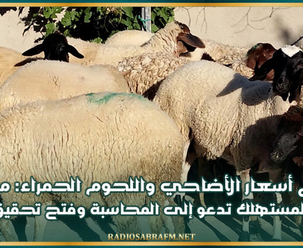 ارتفاع أسعار الأضاحي واللحوم الحمراء: منظمة إرشاد المستهلك تدعو إلى المحاسبة وفتح تحقيق شامل