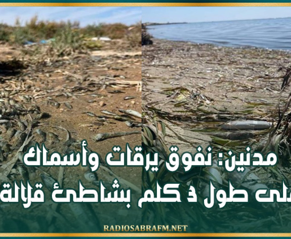 مدنين: نفوق يرقات وأسماك على طول 3 كلم بشاطئ قلالة