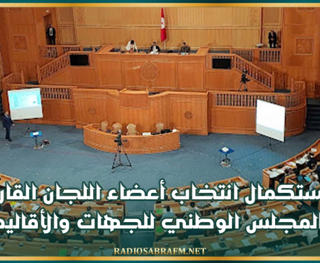 استكمال انتخاب أعضاء اللجان القارة بالمجلس الوطني للجهات والأقاليم