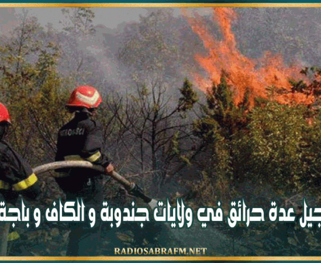 تسجيل عدة حرائق في ولايات جندوبة و الكاف و باجة