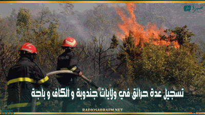 تسجيل عدة حرائق في ولايات جندوبة و الكاف و باجة