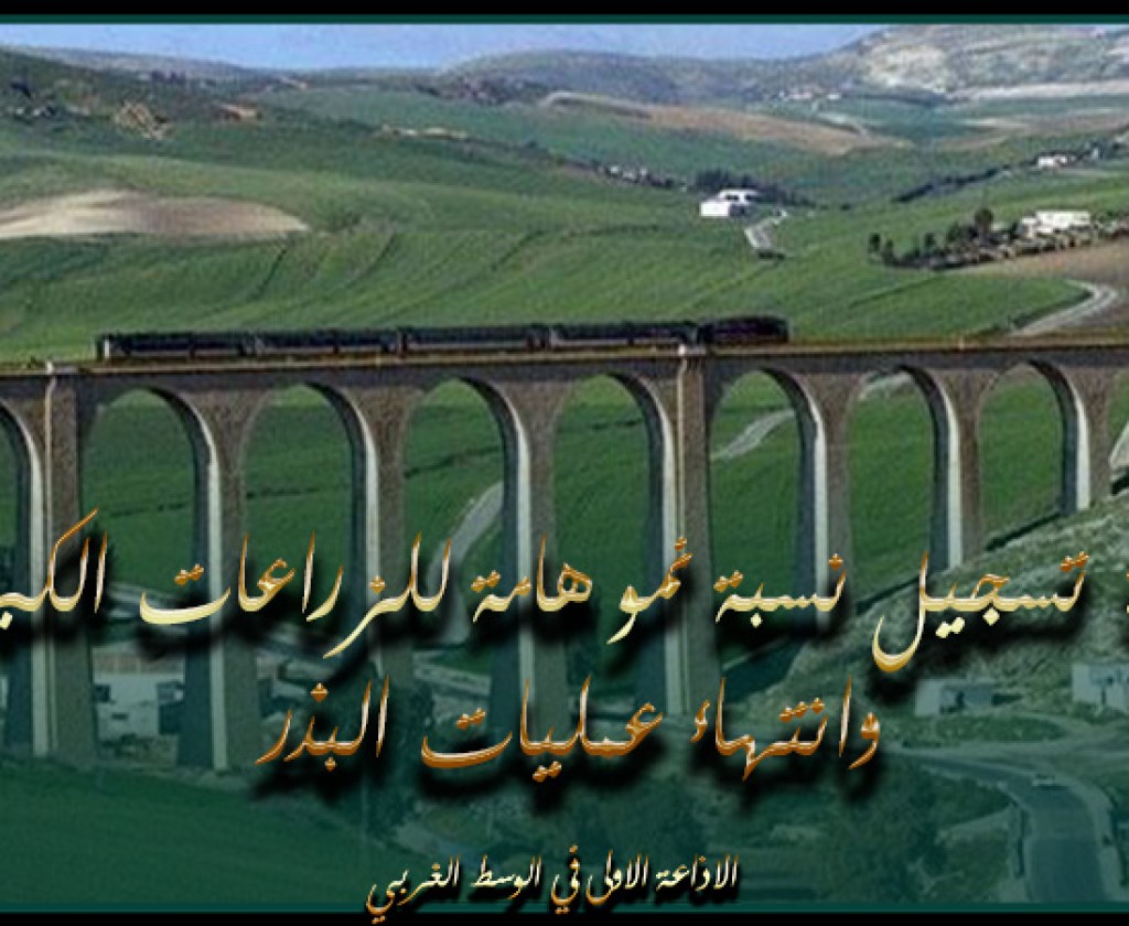 باجة: تسجيل نسبة نمو هامة للزراعات الكبرى وانتهاء عمليات البذر