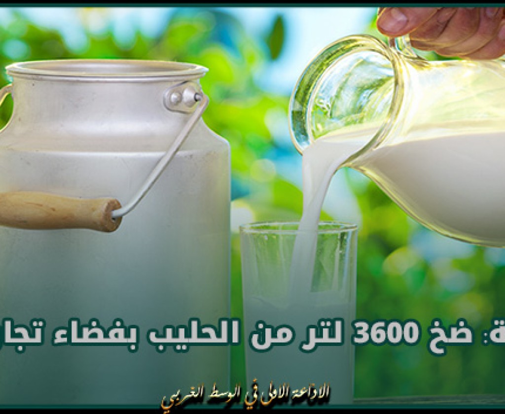 باجة: ضخ 3600 لتر من الحليب بفضاء تجاري