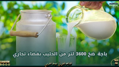 باجة: ضخ 3600 لتر من الحليب بفضاء تجاري
