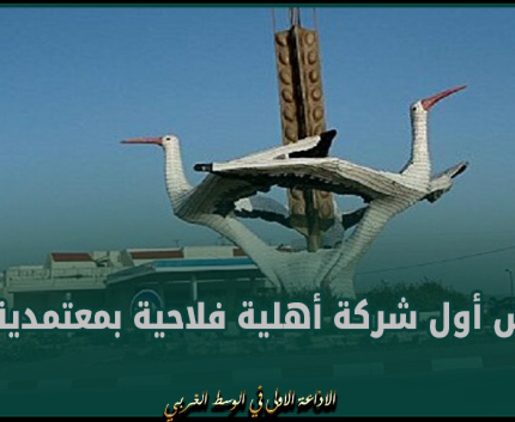 باجة: تأسيس أول شركة أهلية فلاحية بمعتمدية قبلاط