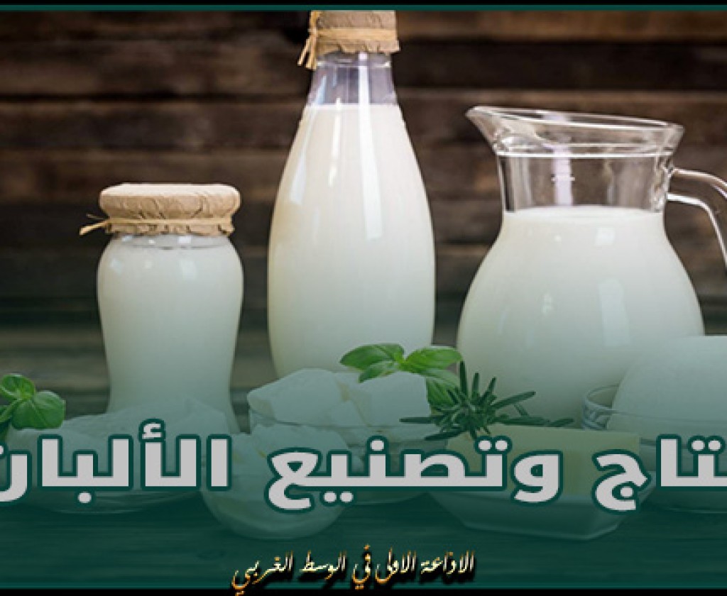 باجة: افتتاح مركز تكوين في مهن إنتاج وتصنيع الألبان