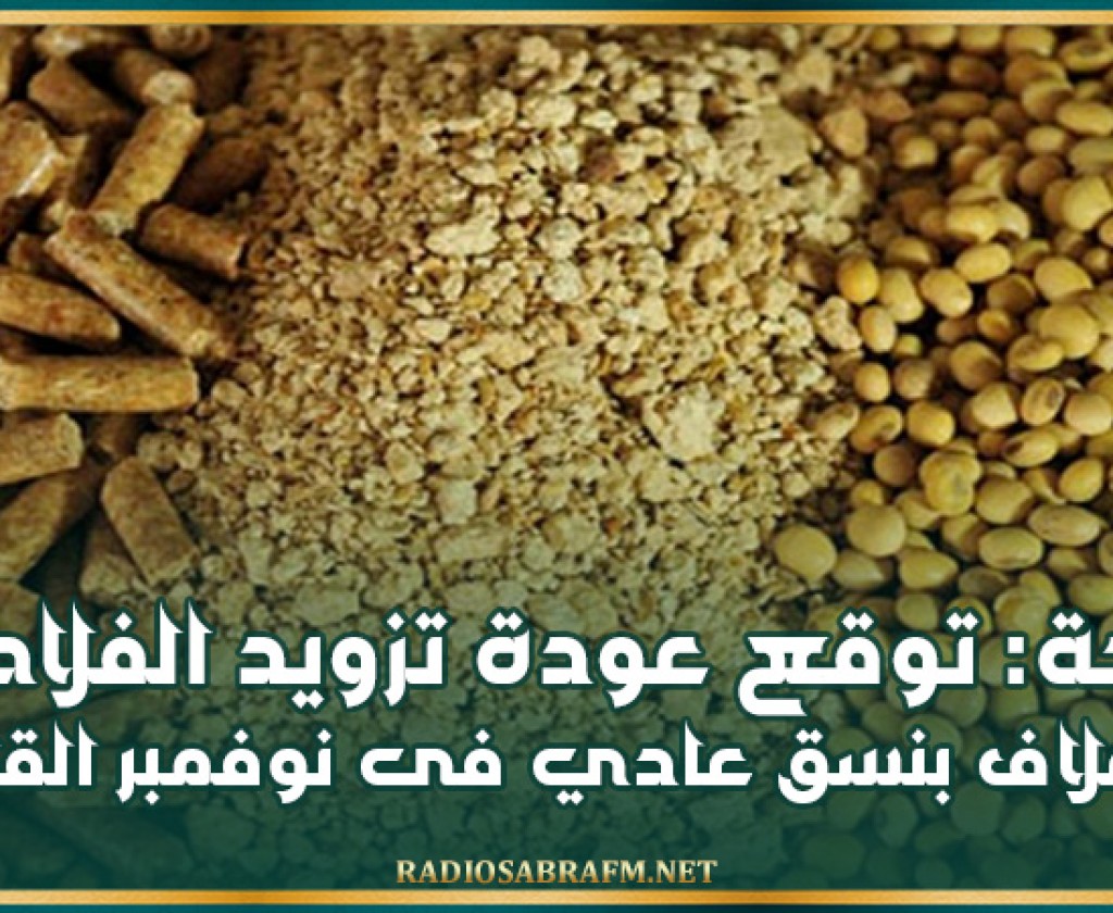 باجة: توقع عودة تزويد الفلاحين بالاعلاف بنسق عادي فى نوفمبر القادم