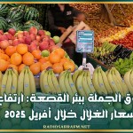 سوق الجملة ببئر القصعة: ارتفاع أسعار الغلال خلال أفريل 2025