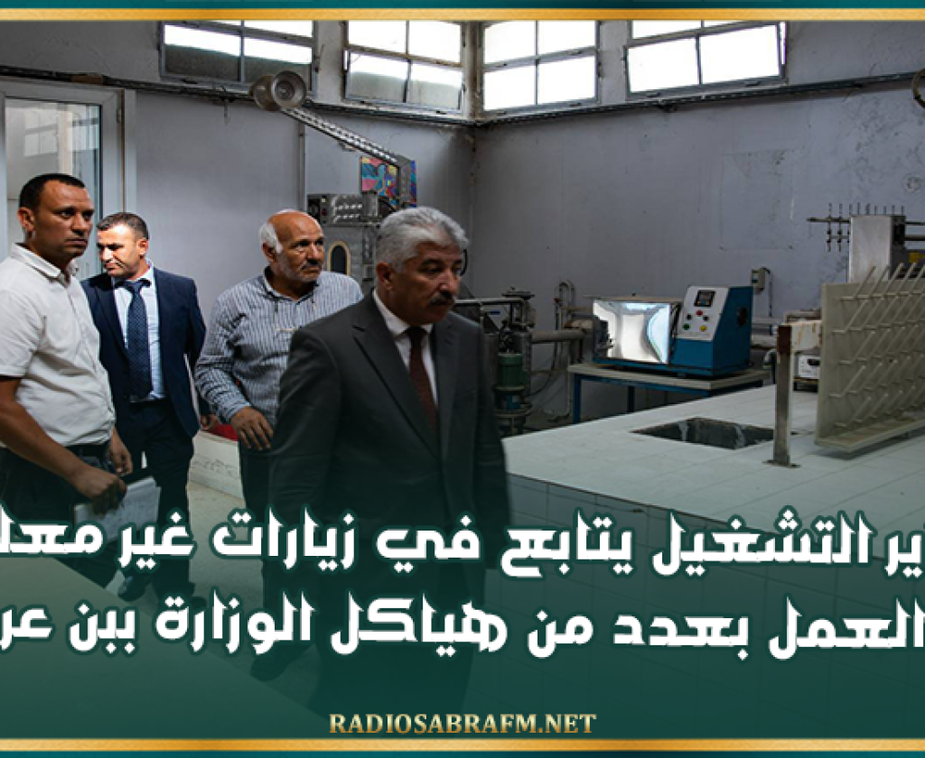 وزير التشغيل يتابع في زيارات غير معلنة سير العمل بعدد من هياكل الوزارة ببن عروس