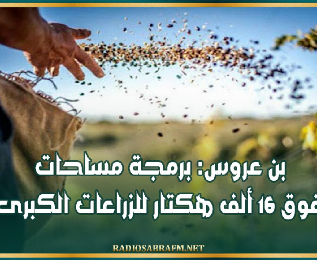 بن عروس: برمجة مساحات تفوق 16 ألف هكتار للزراعات الكبرى