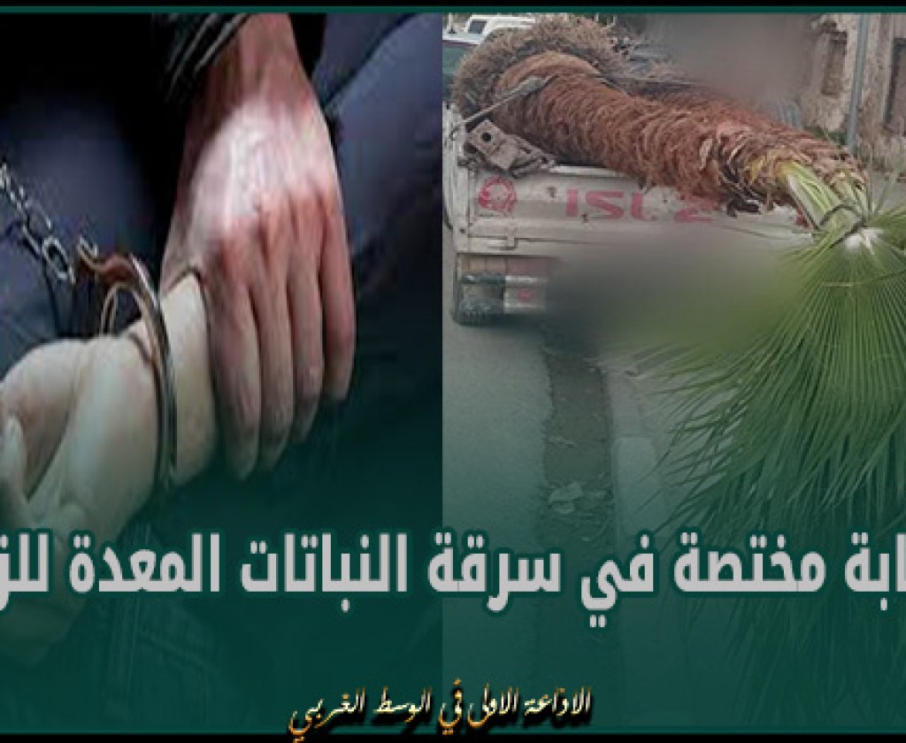 المحمدية-بنعروس : الكشف عن عصابة مختصة في سرقة النباتات المعدة للزينة