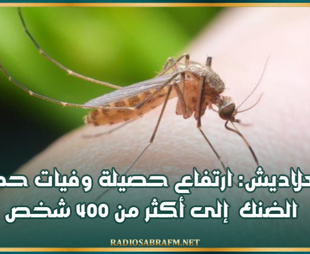 بنغلاديش: ارتفاع حصيلة وفيات حمى الضنك إلى أكثر من 400 شخص
